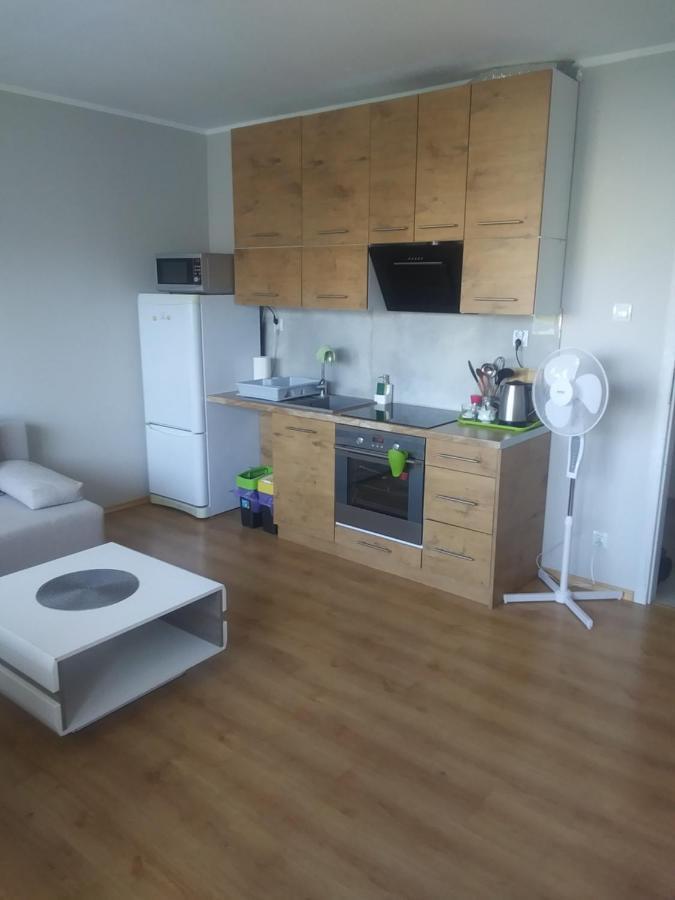Ferienwohnung Poziom 7 Elbing Exterior foto