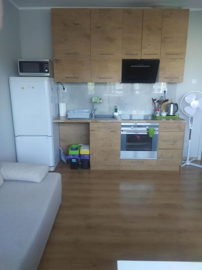 Ferienwohnung Poziom 7 Elbing Exterior foto